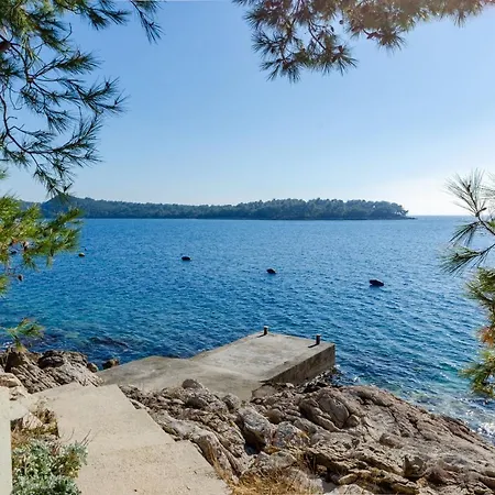 Semesterbostad Seaside Family Friendly House With A Swimming Pool Karbuni, Korcula - 14776 Prizba